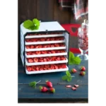 DCT1001-commercial food dehydrator
