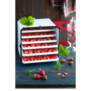 DCT1001-commercial food dehydrator