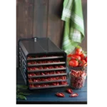 DCT2002-commercial food dehydrator