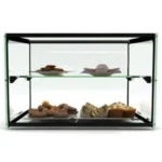Sayl Ambient Glass Display 2 Tier (ADS0010)
