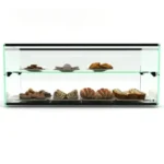 Sayl Ambient Glass Display Two Tier (ADS0036)
