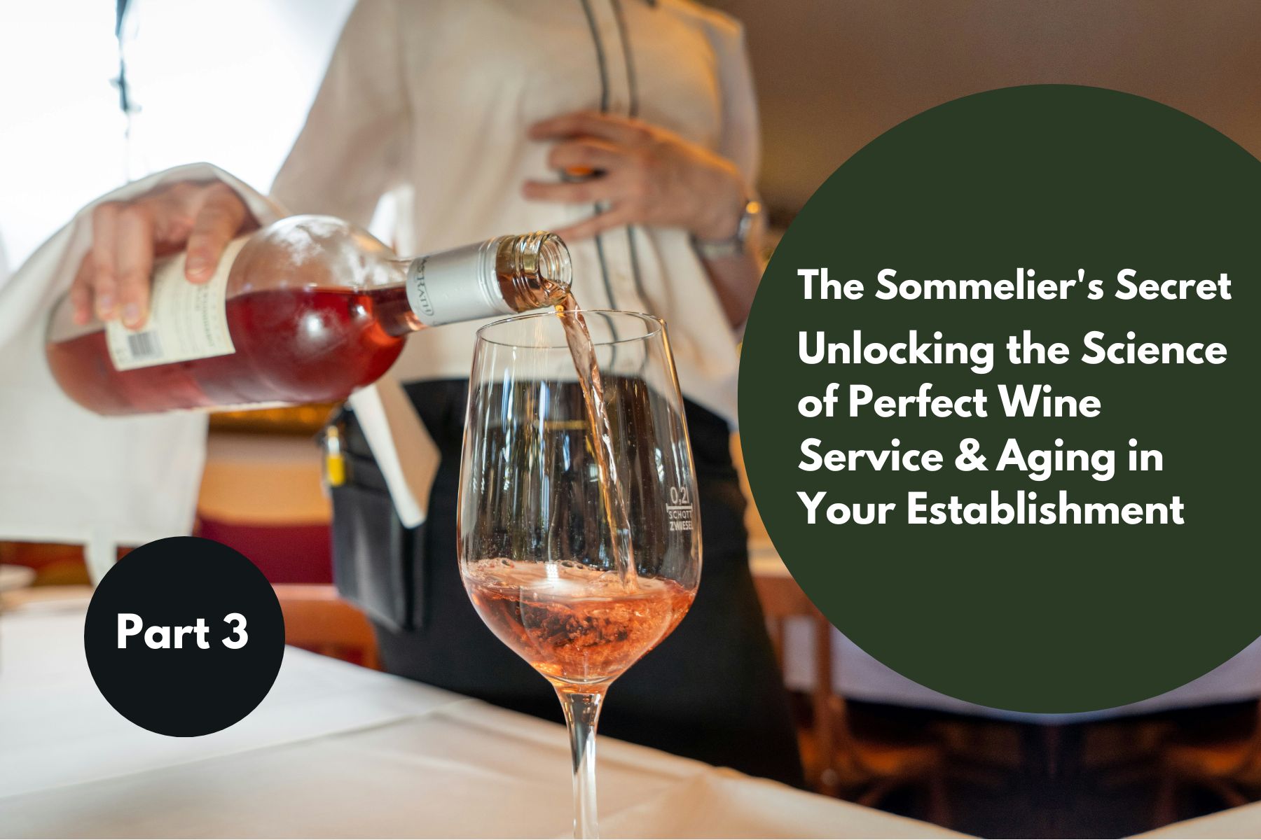 The Sommelier's Secret Unlocking the Science of Perfect Wine Service & Aging in Your Establishment