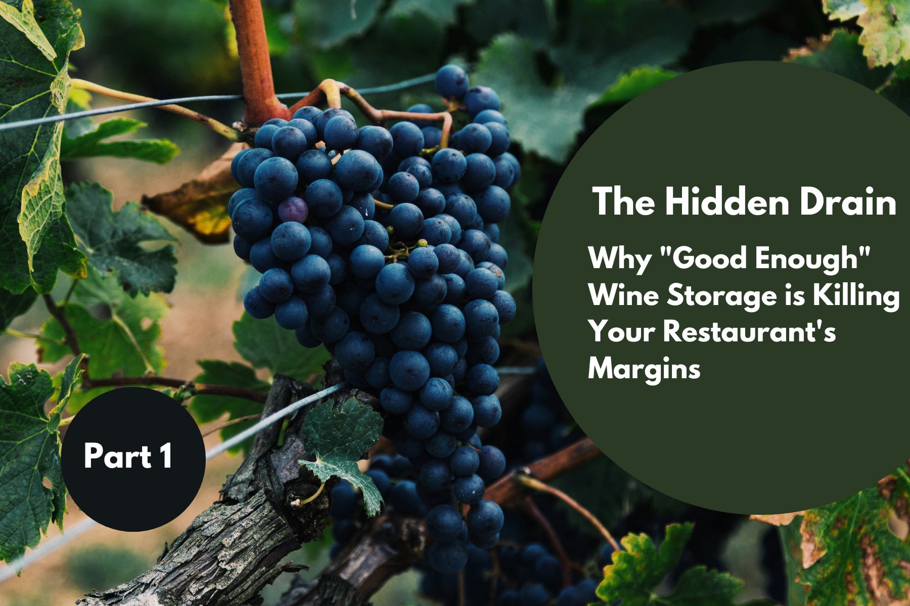 Why Good Enough Wine Storage is Killing Your Restaurant's Margins