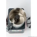 Commercial food processor
