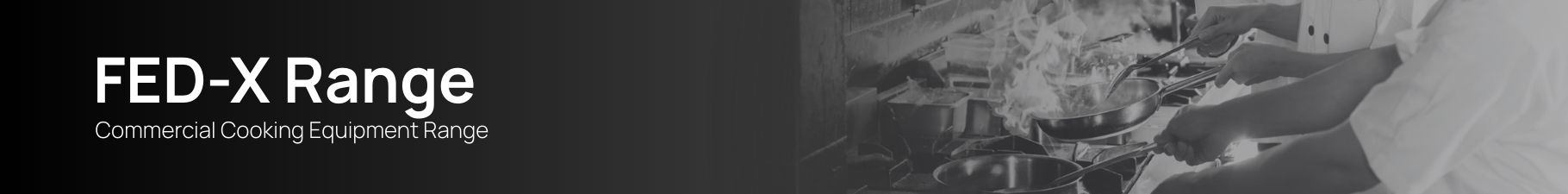 Fed-X Banner