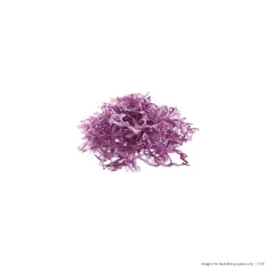 Food Processor