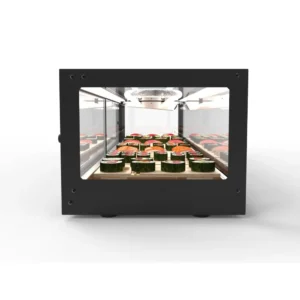 Sushi Display