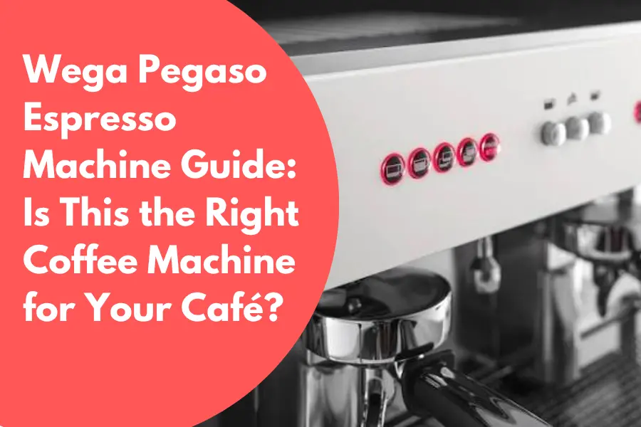 Wega Pegaso Espresso Machine Guide