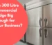 300 Litre Commercial Fridge
