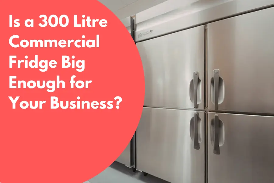 300 Litre Commercial Fridge